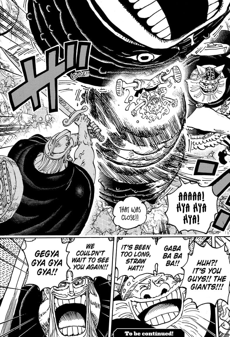 One Piece, Chapter 1110 image 17